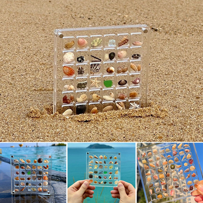 acrylic magnetic shell display box