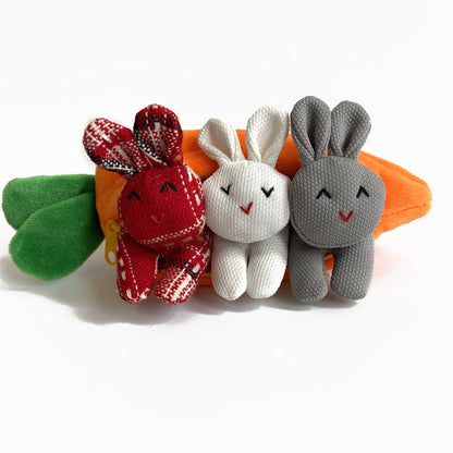 Easter Hide-and-Seek Bunnies in Carrot Pouch