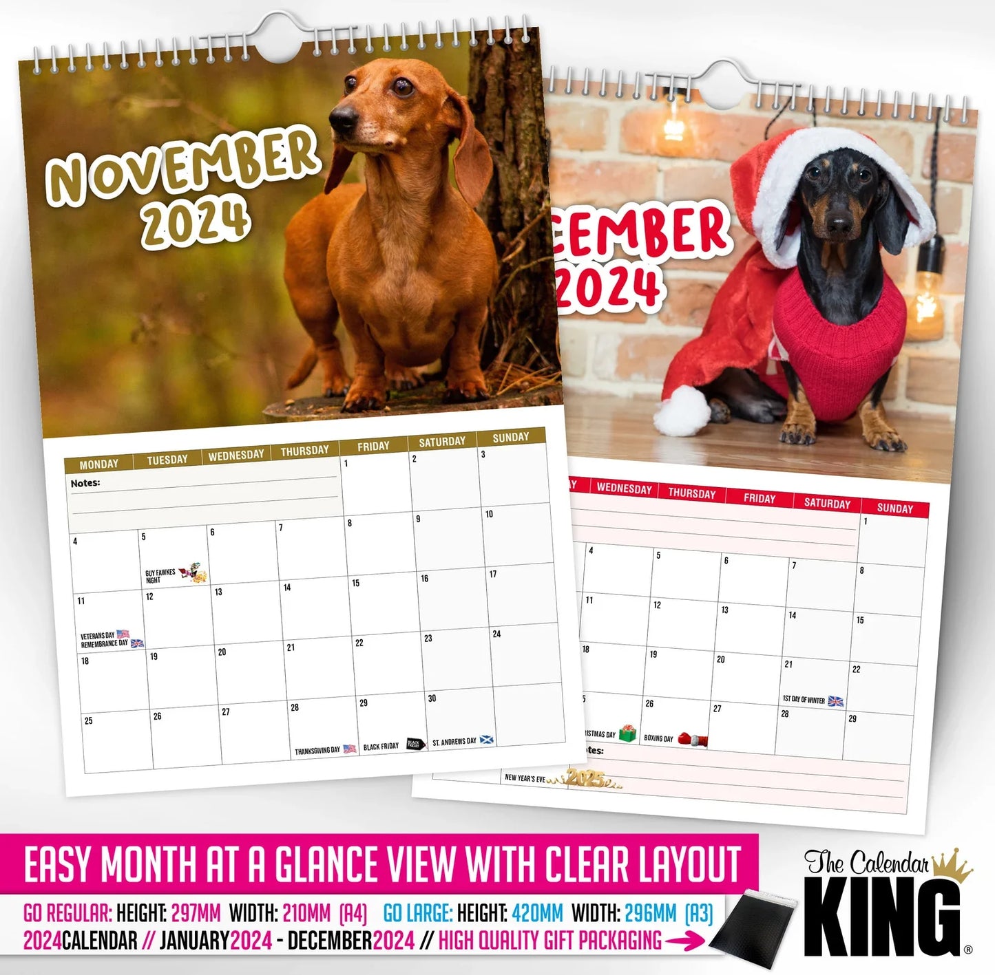 Cheeky Dachshunds - 2024 Wall Calendar